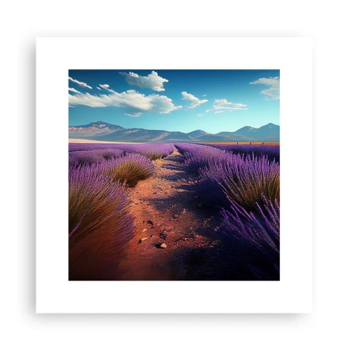 Plakát - Voňavá pole - 30x30 cm