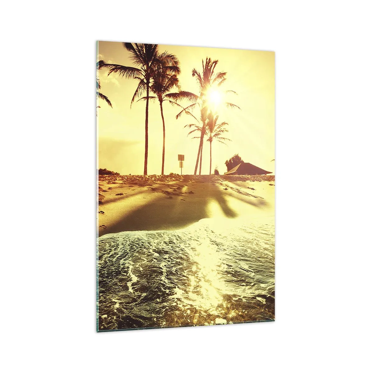 Obraz na skle - Kalifornské odpoledne - 70x100 cm