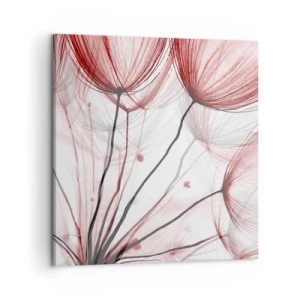 Obraz na plátně - Před odletem - 50x50 cm