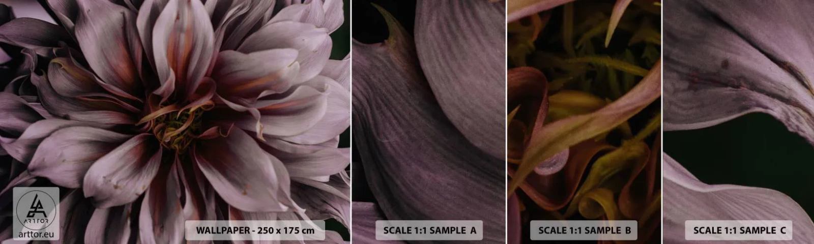 Fototapeta Vzorek Standard Eco - Květinové srdce - Kytice květin, Jiřina, Květ - 100x30 cm