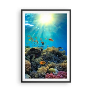 Plakát v černém rámu - Podvodní poklady - 61x91 cm
