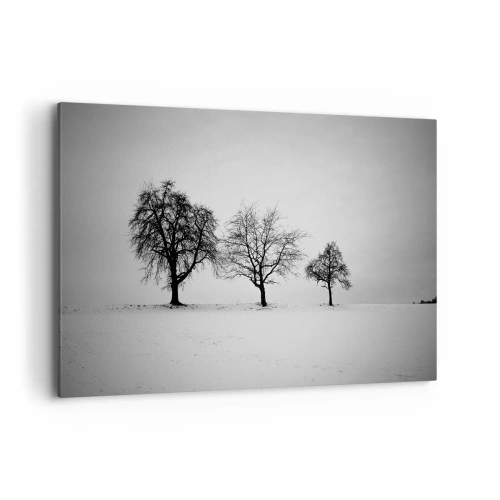 Obraz na plátně - O čem sní? - 120x80 cm