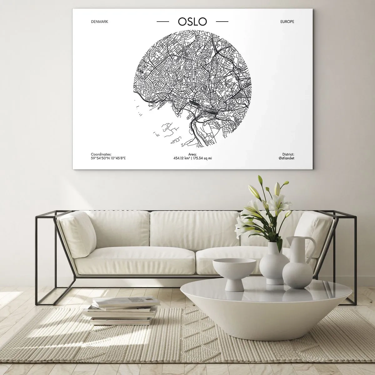 Obraz na skle - Anatomie Osla - 70x50 cm