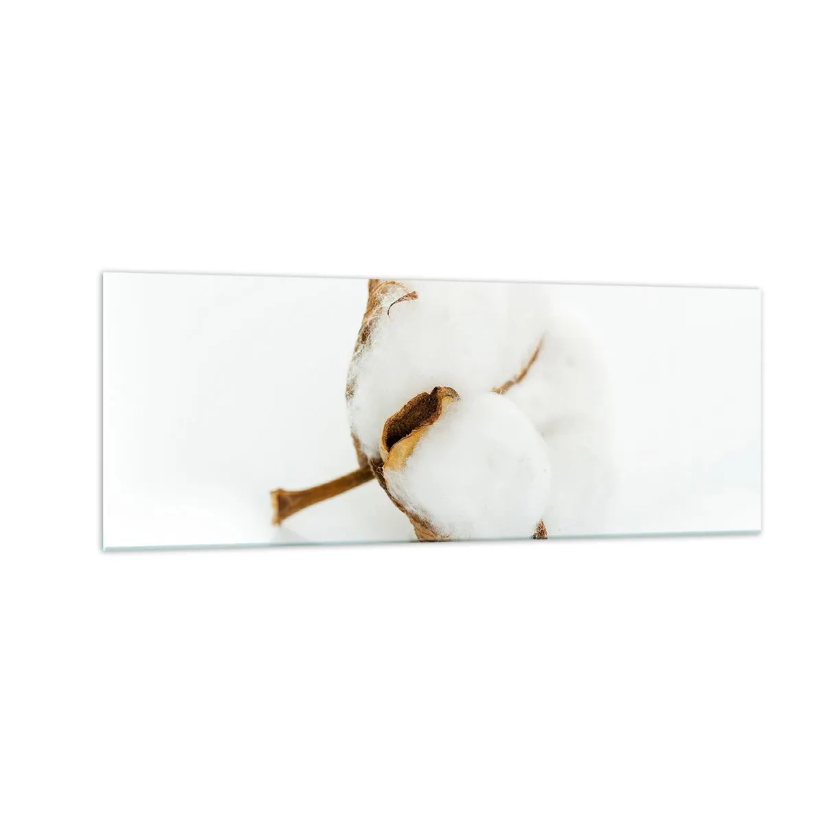 Obraz na skle - Měkká od přírody - 140x50 cm