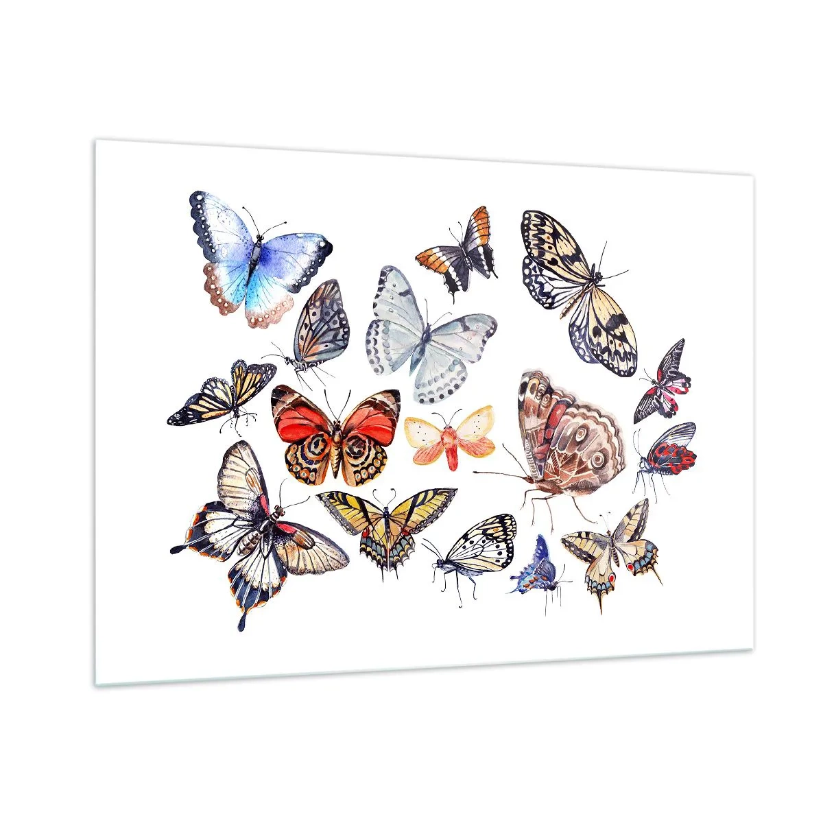 Obraz na skle - Krajkový, barevný roj - 100x70 cm