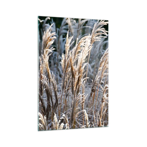 Obraz na skle - Mrazem pokryté - 70x100 cm