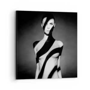 Obraz na plátně - V záři i ve stínu - 70x70 cm