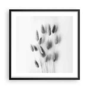 Plakát v černém rámu - Její načechranost tráva - 50x50 cm