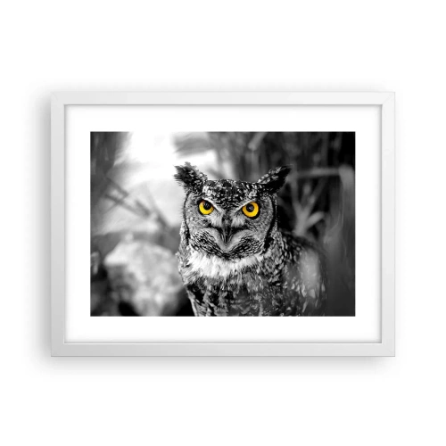 Plakát v bílém rámu - Nic se neschová - 40x30 cm