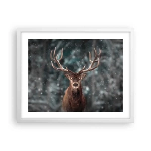 Plakát v bílém rámu - Skutečný král lesa - 50x40 cm