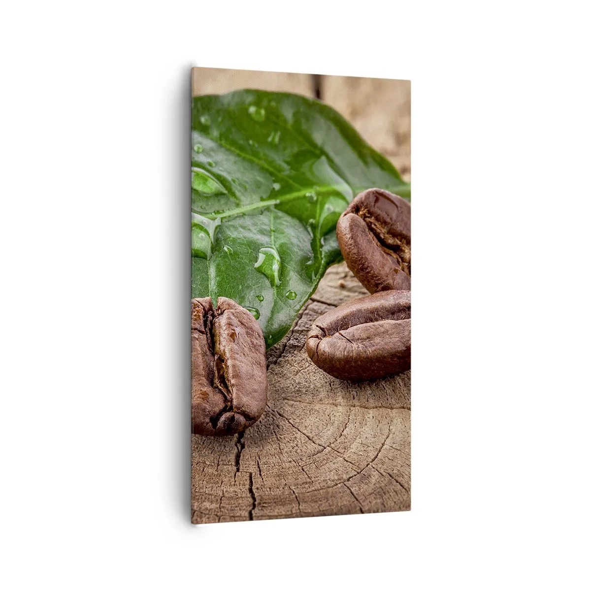 Obraz na plátně - Nejskutečnější a černá - 65x120 cm