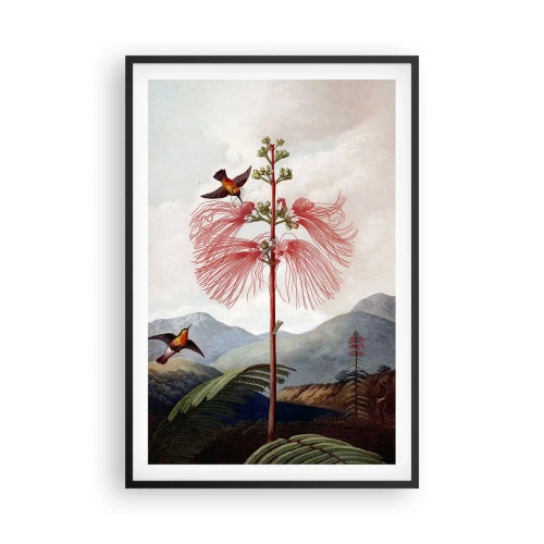 Plakát v černém rámu - V tropickém ráji - 61x91 cm