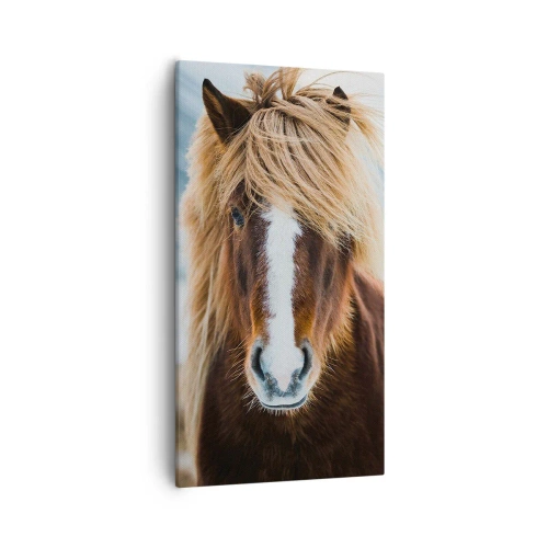 Obraz na plátně - Cítíš svobodu? - 55x100 cm