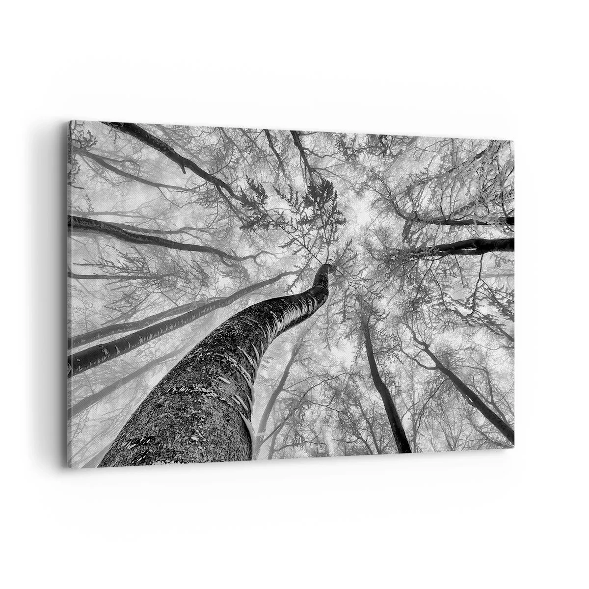 Obraz na plátně - Závod ke světlu - 120x80 cm