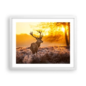 Plakát v bílém rámu - Král podzimního lesa - 50x40 cm