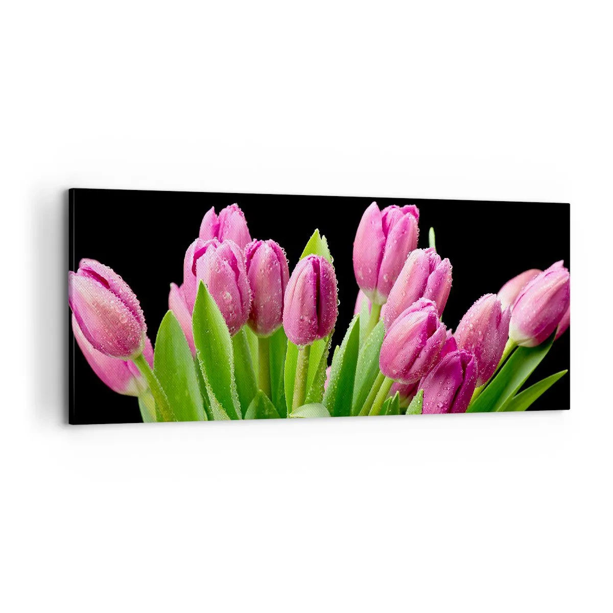 Obraz na plátně - Liliové potěšení jara - 100x40 cm
