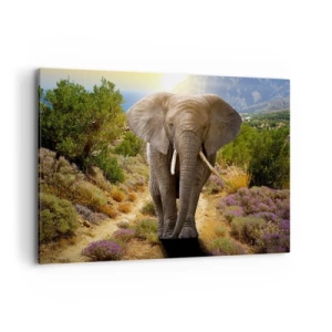 Obraz na plátně - Tak vypadal Ráj - 100x70 cm