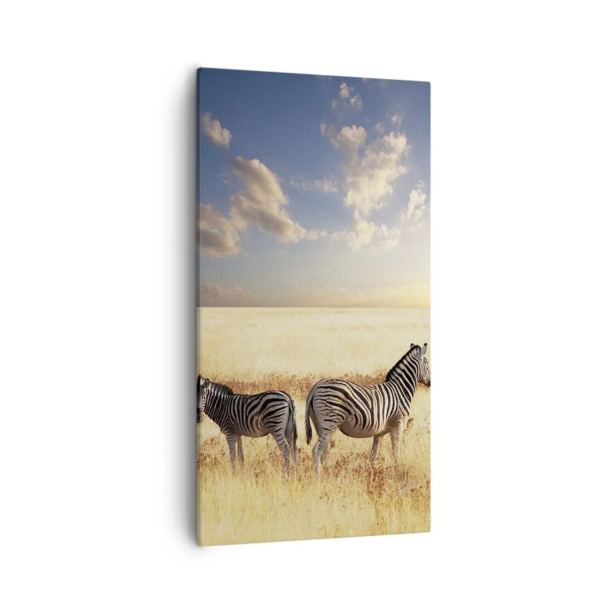 Obraz na plátně - Jdi odsud, neruš klid - 55x100 cm