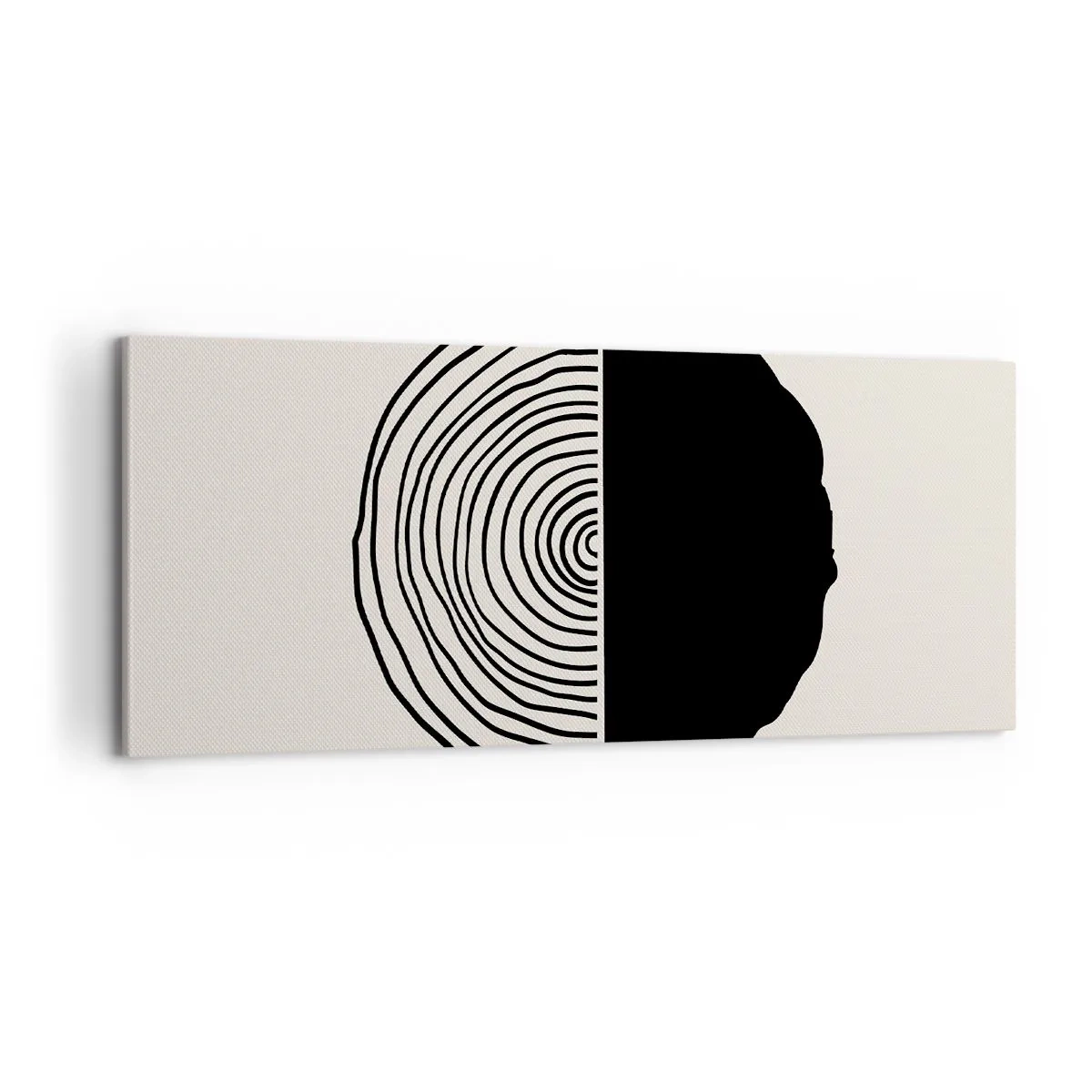 Obraz na plátně - Půl na půl - 100x40 cm