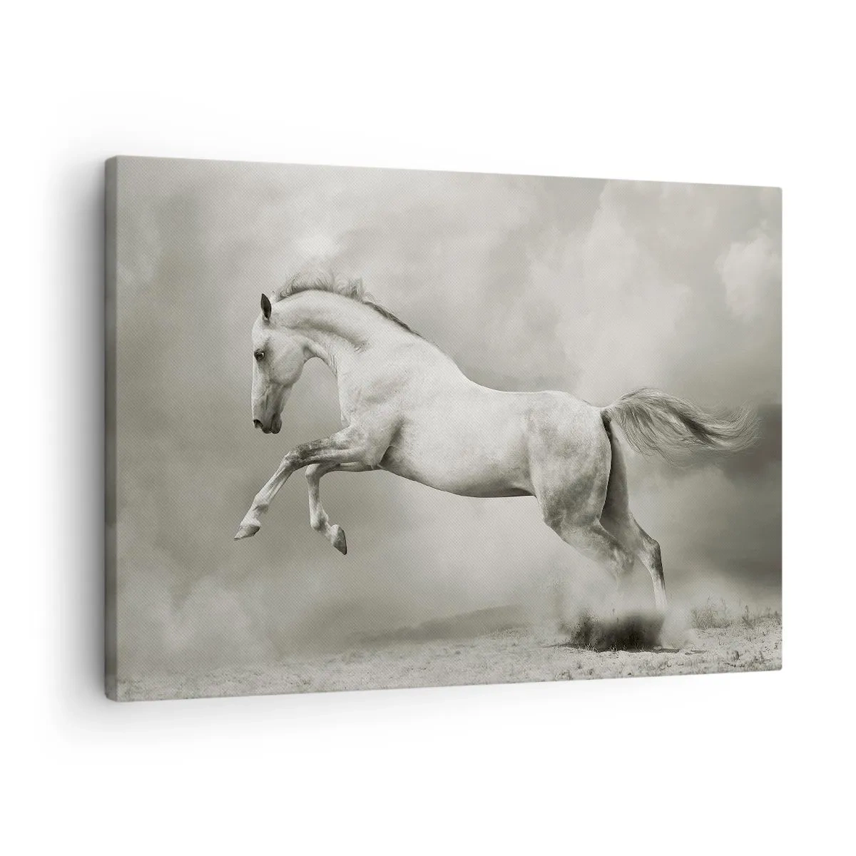 Obraz na plátně - Bílý kůň v dynamickém skoku na pozadí mlhavých mraků. - 70x50cm - Mezi bděním a snem - Moderní nástěnná dekorace do obývacího pokoje a ložnice ARTTOR