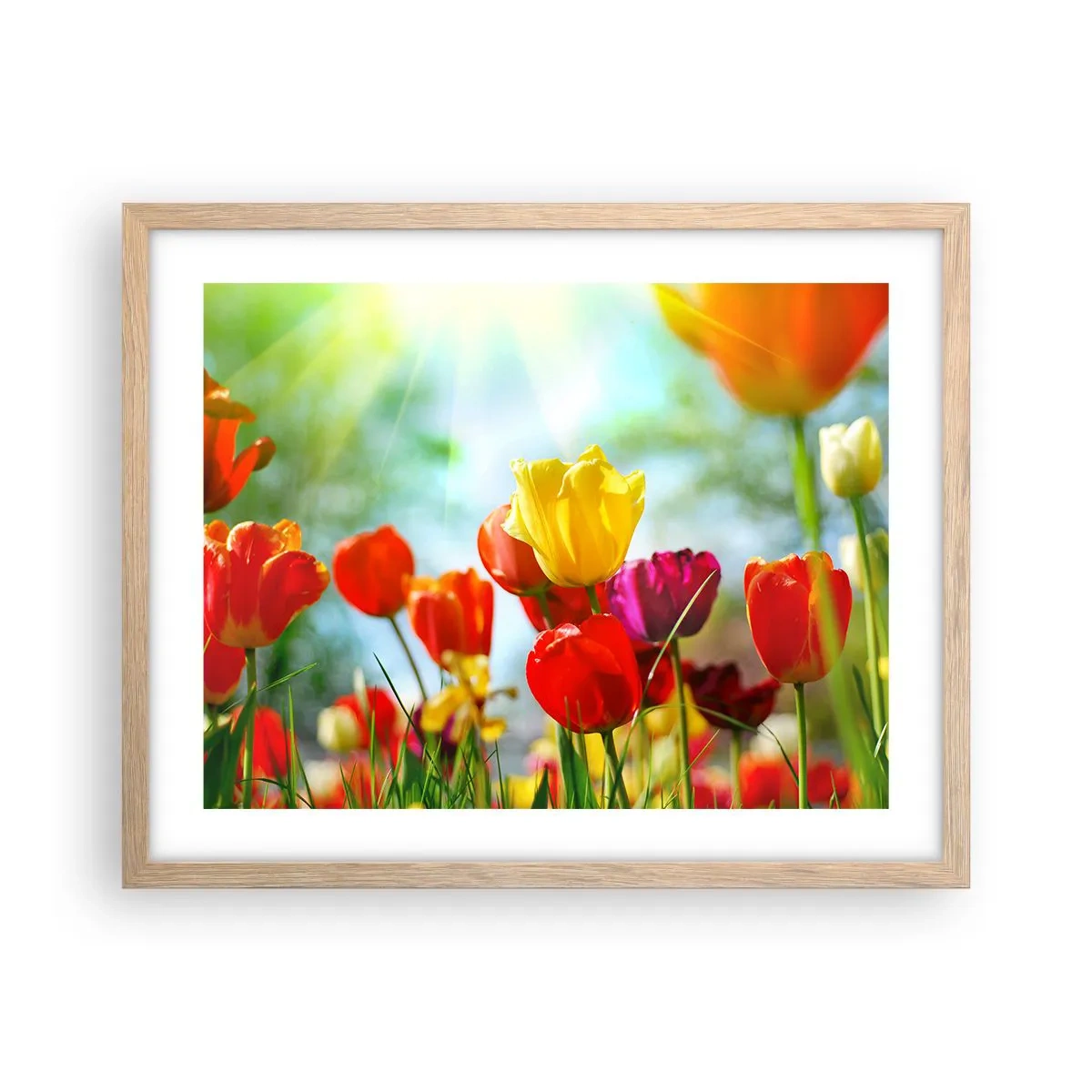 Plakát v rámu světlý dub - Všechny barvy slunce - 50x40 cm