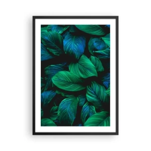 Plakát v černém rámu - Zelené listy v intenzivních odstínech - 50x70cm - V zeleném davu - Moderní nástěnná dekorace do obývacího pokoje a ložnice ARTTOR