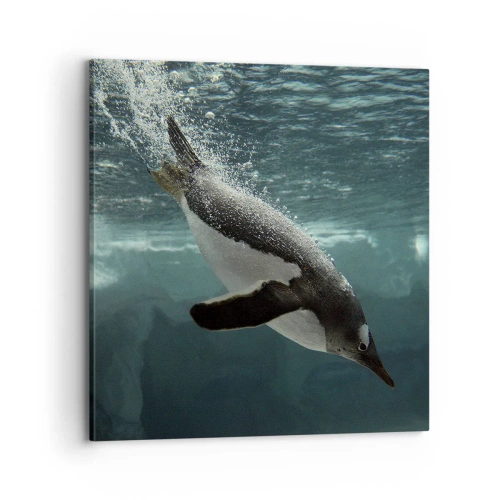 Obraz na plátně - Vítejte v mém světě - 70x70 cm