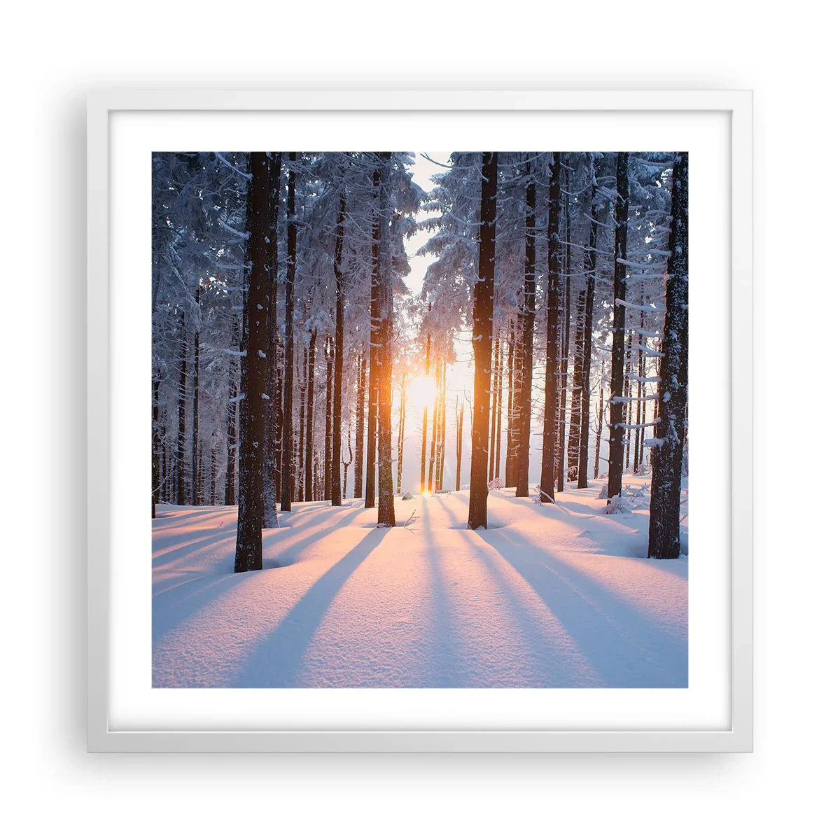 Plakát v bílém rámu - Jasně černé na bílém - 50x50 cm