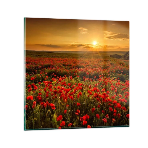 Obraz na skle - Mezi vlnami šumících luk, mezi záplavou květů - 70x70 cm