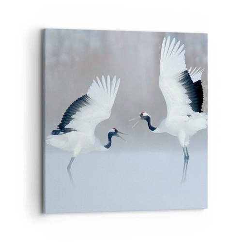 Obraz na plátně - Tanec v mlze - 70x70 cm