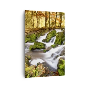 Obraz na plátně - Chvatem podzimním lesem - 80x120 cm