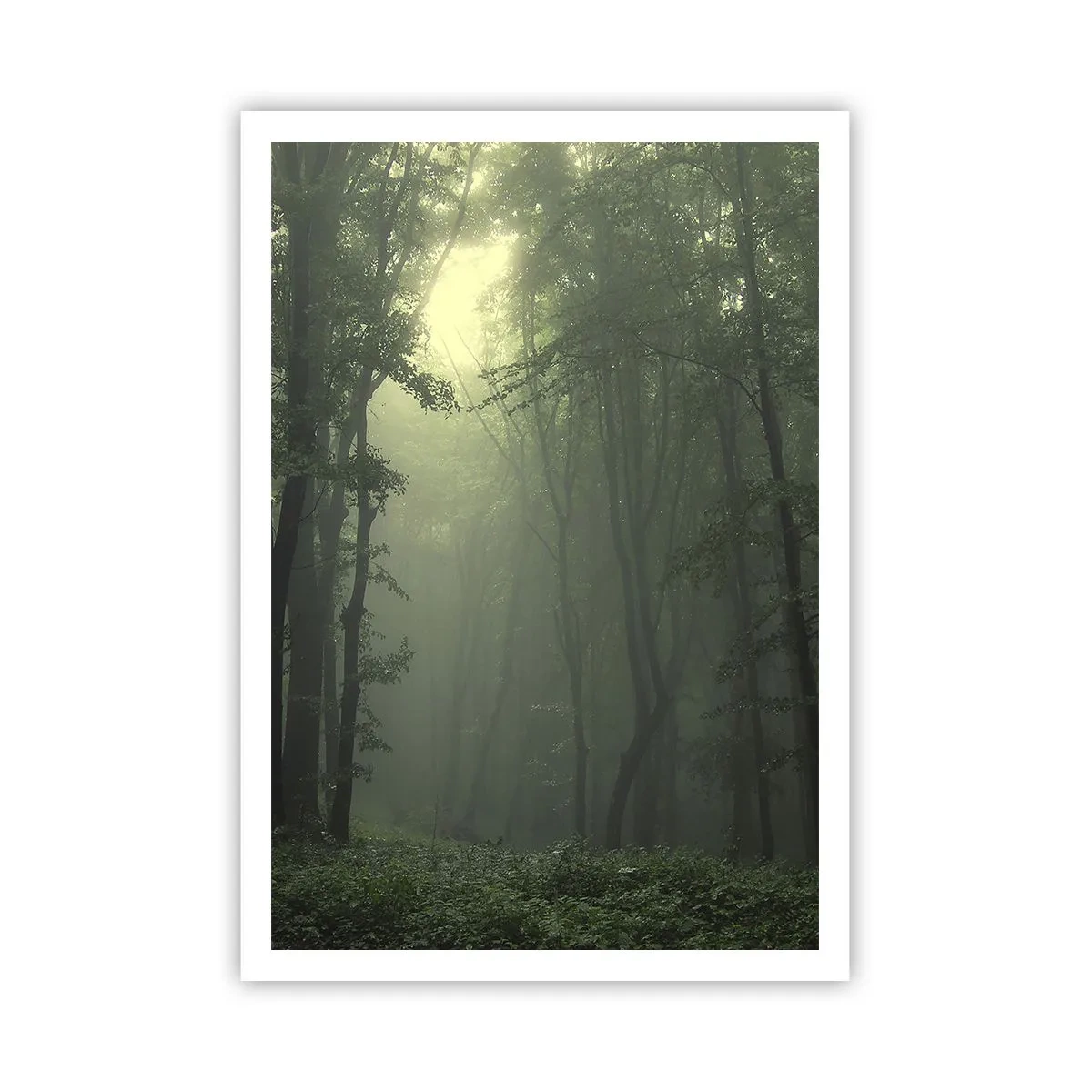 Plakát - Než se probudí - 70x100 cm