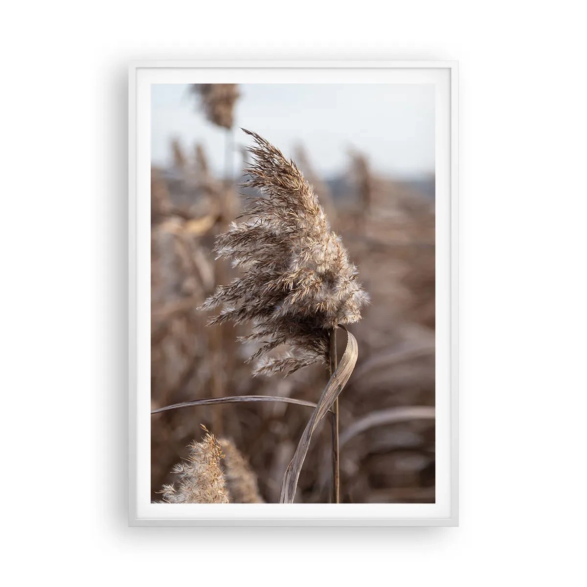 Plakát v bílém rámu - Čas odletět s větrem - 70x100 cm