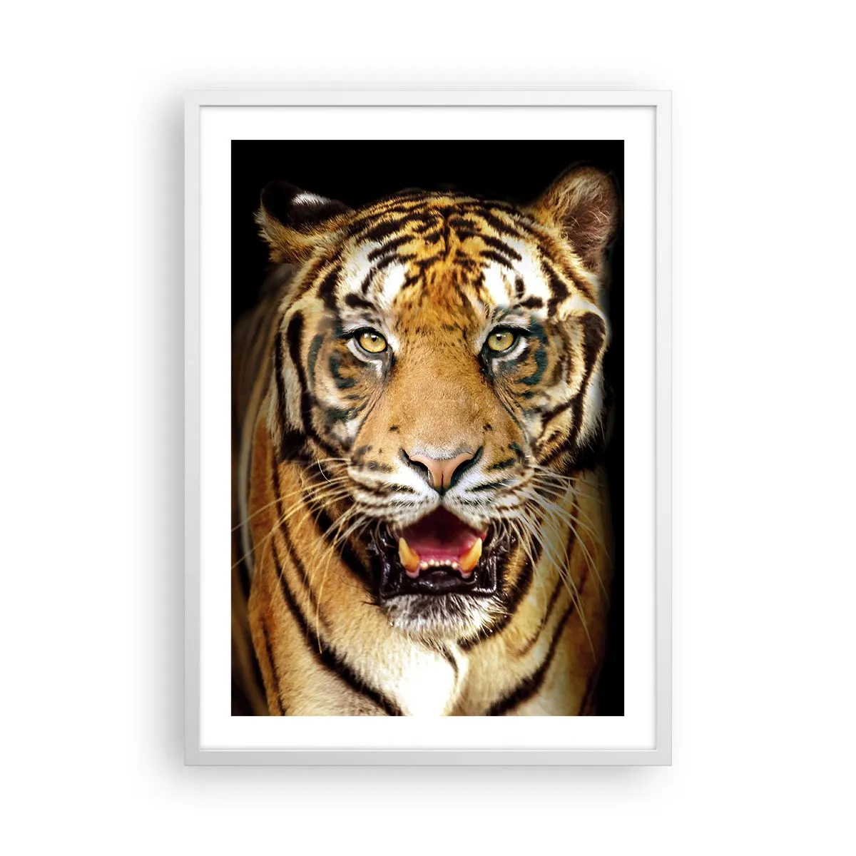 Plakát v bílém rámu - Divokost srdce - 50x70 cm