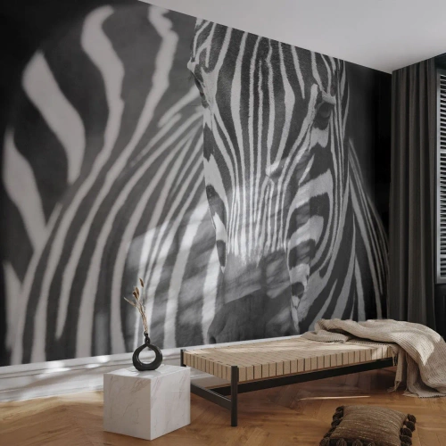 Fototapeta Samolepicí Deluxe Sticker - Svět je černo-bílý - Zvířata, Žebra, Černý a bílý - 450x315 cm
