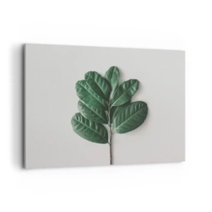 Obraz na plátně - Kresba samotné přírody - 100x70 cm