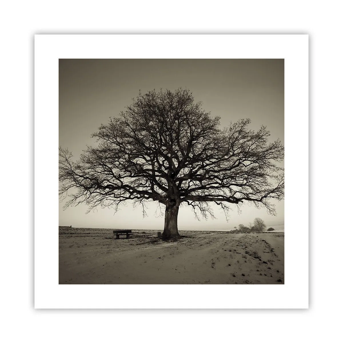 Plakát - Odtud až na věčnost - 40x40 cm