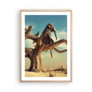 Plakát v rámu světlý dub - Nový úhel pohledu - 50x70 cm