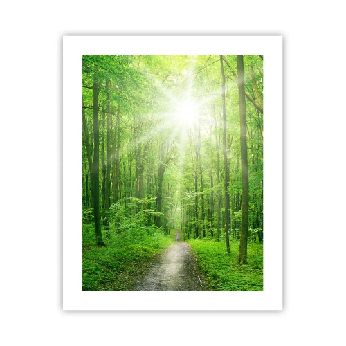 Plakát - Zelená katedrála - 40x50 cm