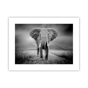 Plakát - Hostitel vítá - 40x30 cm