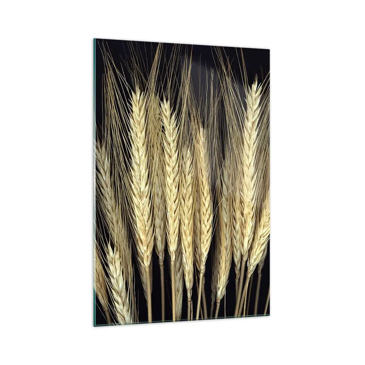 Obraz na skle - Rustikální magie - 70x100 cm