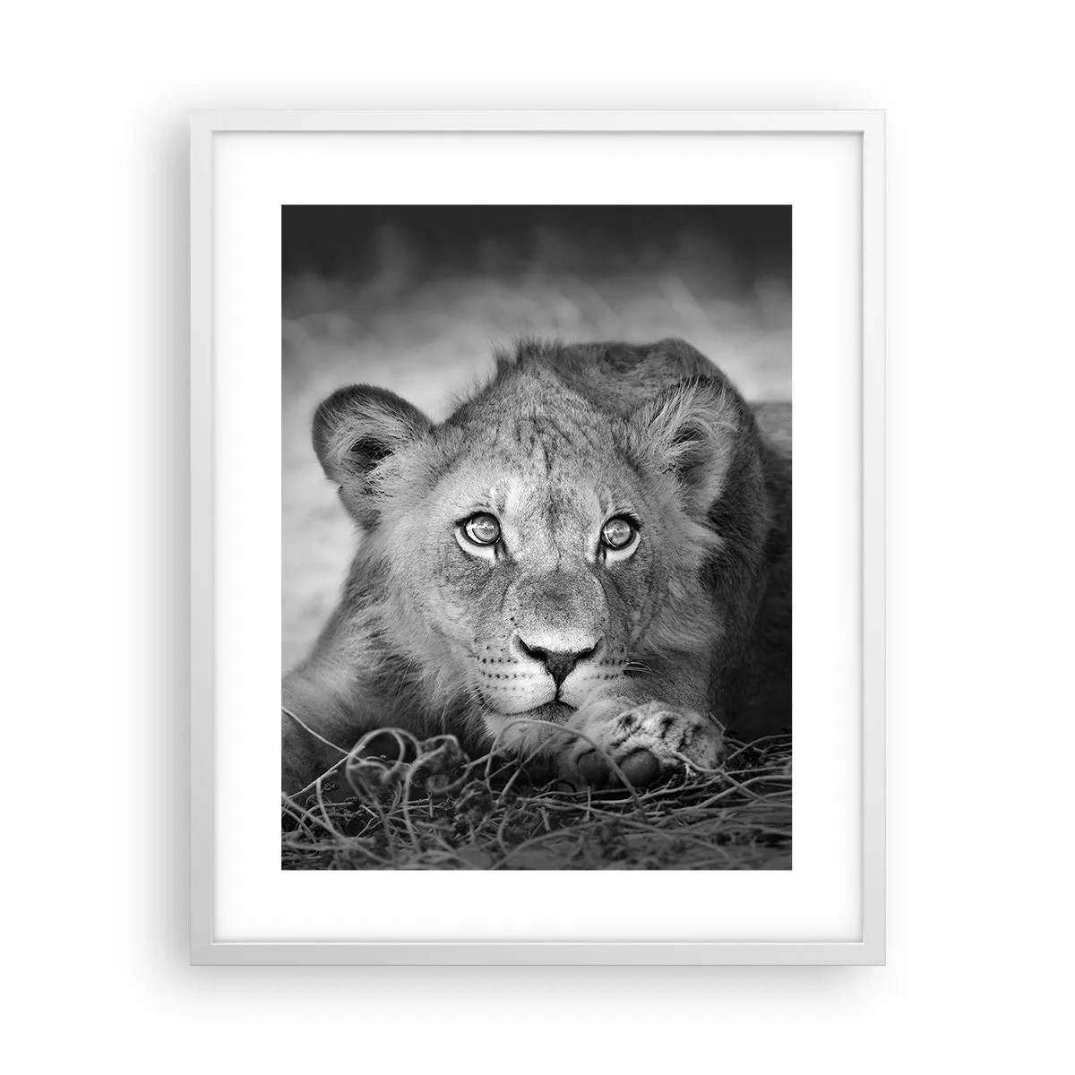 Plakát v bílém rámu - Královské štěně - 40x50 cm