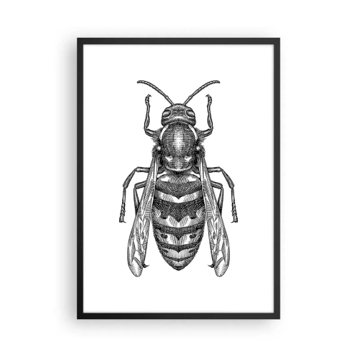 Plakát v černém rámu - Detailní ilustrace vosy - 50x70cm - Z hmyzí planety - Moderní nástěnná dekorace do obývacího pokoje a ložnice ARTTOR