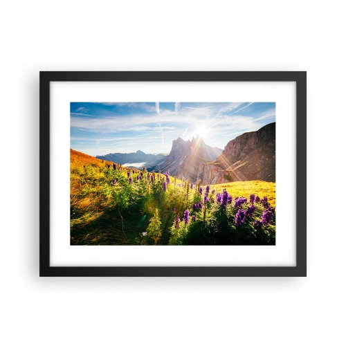 Plakát v černém rámu - Tajemný život bylin - 40x30 cm