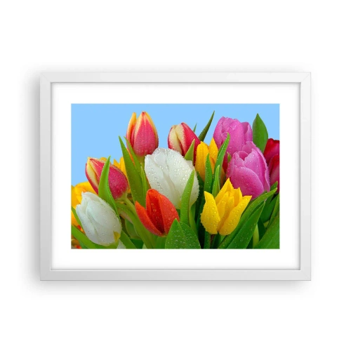 Plakát v bílém rámu - Květinová duha v kapkách rosy - 40x30 cm