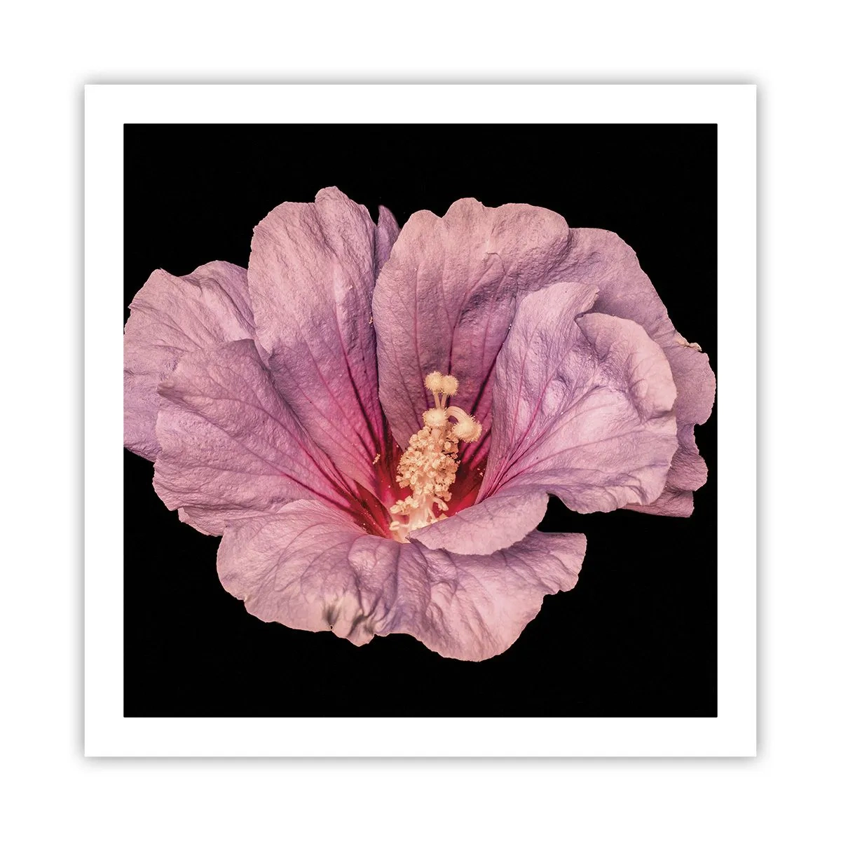 Plakát - Přímo do srdce - 60x60 cm