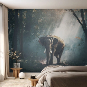 Fototapeta Samolepicí Deluxe Sticker - Klidná procházka - Zvířata, Slon, Džungle - 300x210 cm