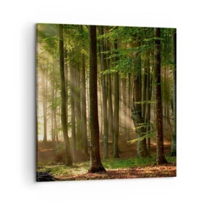 Obraz na plátně - Rozzářený v jarním ránu - 50x50 cm