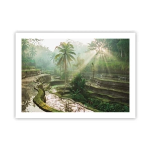 Plakát - Vyrůstát na slunci - 70x50 cm