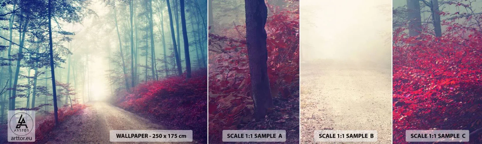 Fototapeta Vzorek Standard Eco - Je dobře vstát s východem slunce - Krajina, Les, Lesní cesta - 100x30 cm